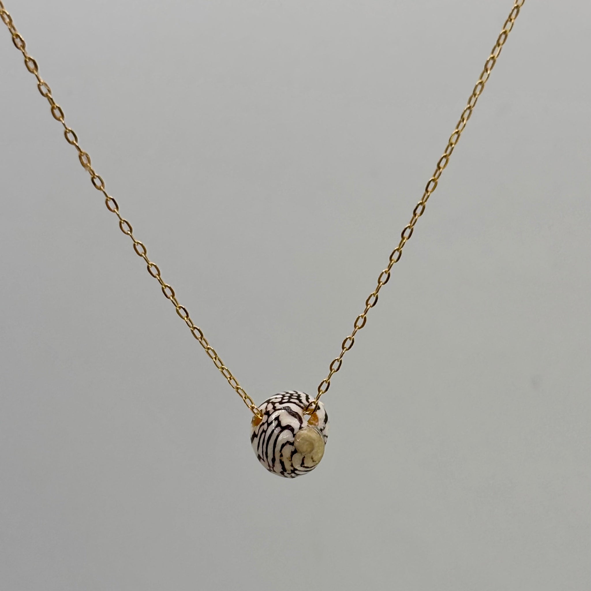 14k Gold Filled Necklace with tiny shell