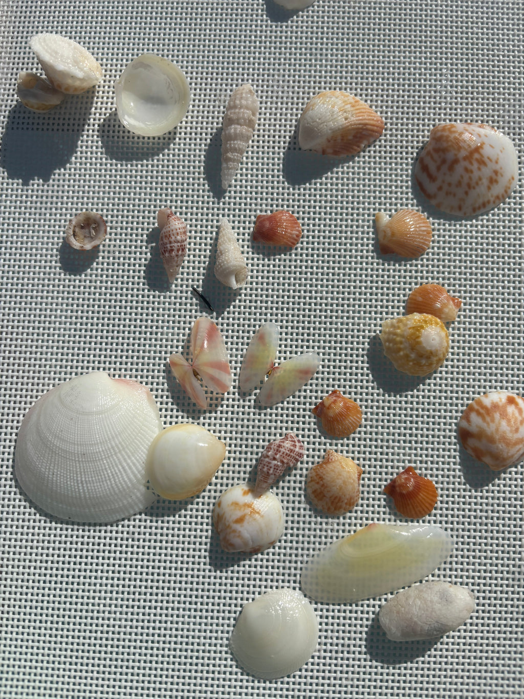 Custom jewelry with your own shell and design