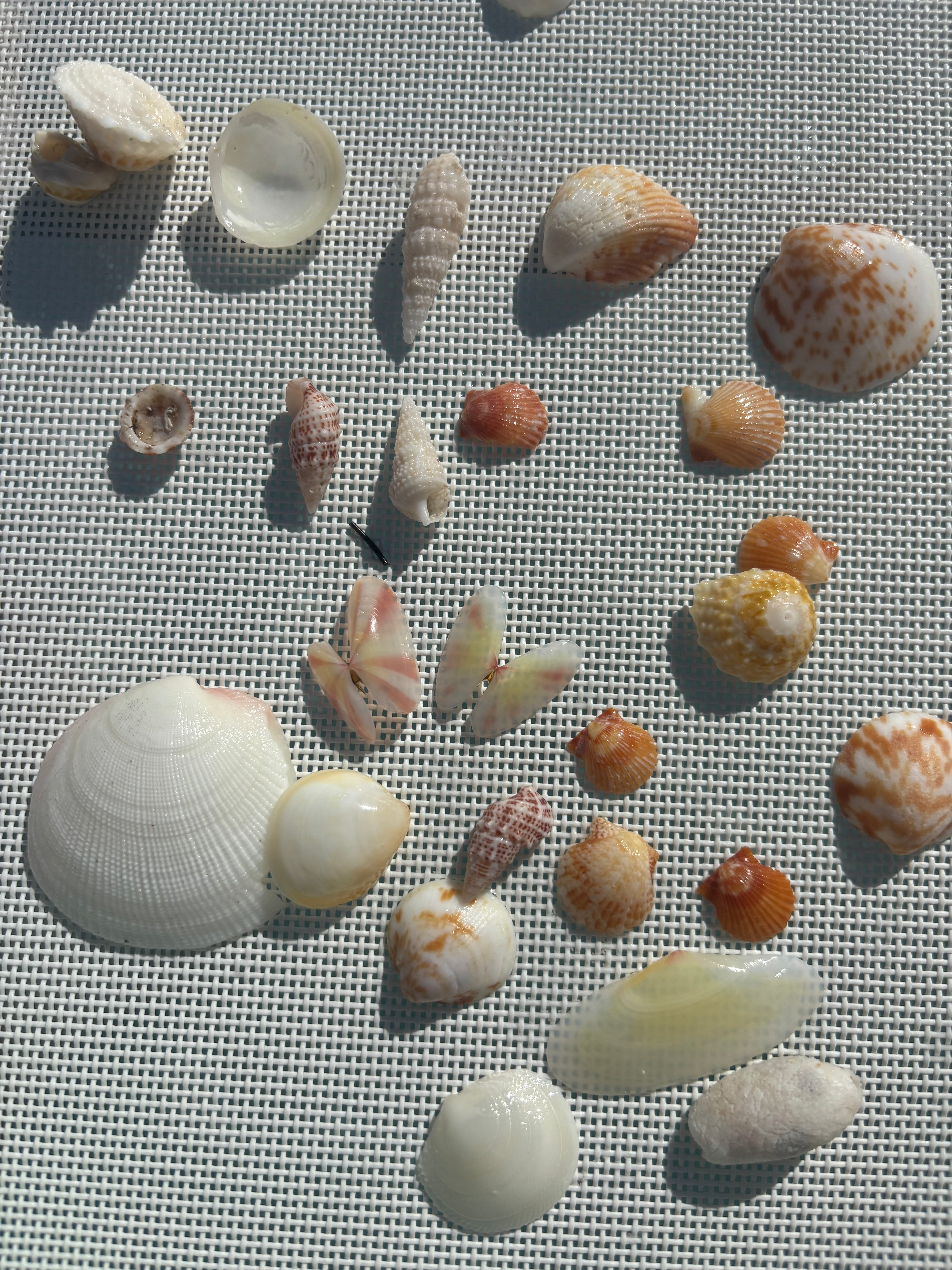 Custom jewelry with your own shell and design