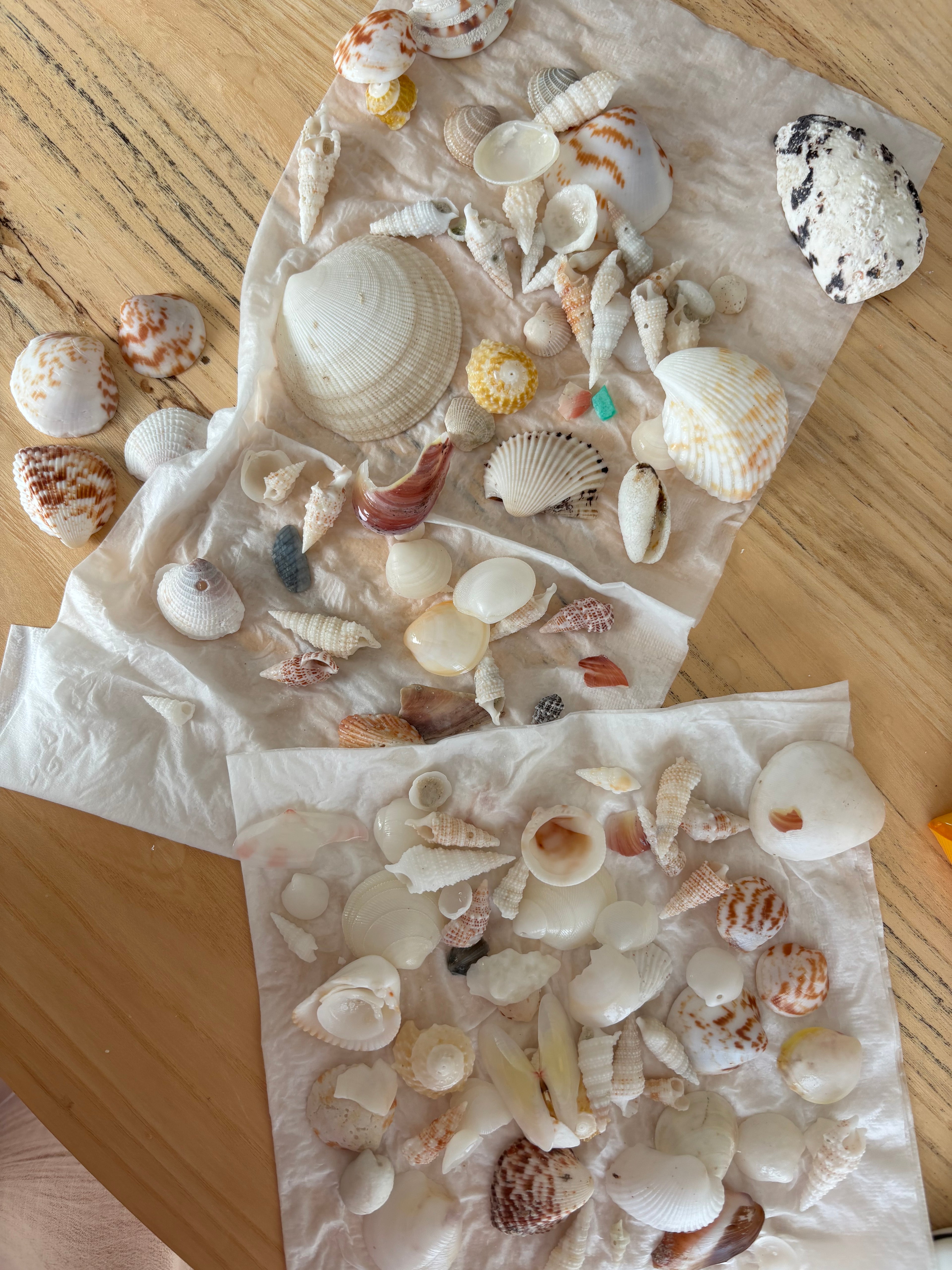 Custom jewelry with your own shell and design