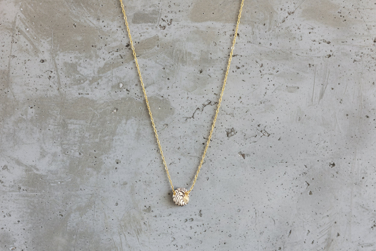 14k Gold Filled Necklace with tiny shell