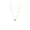 14k Gold Filled Necklace with tiny shell