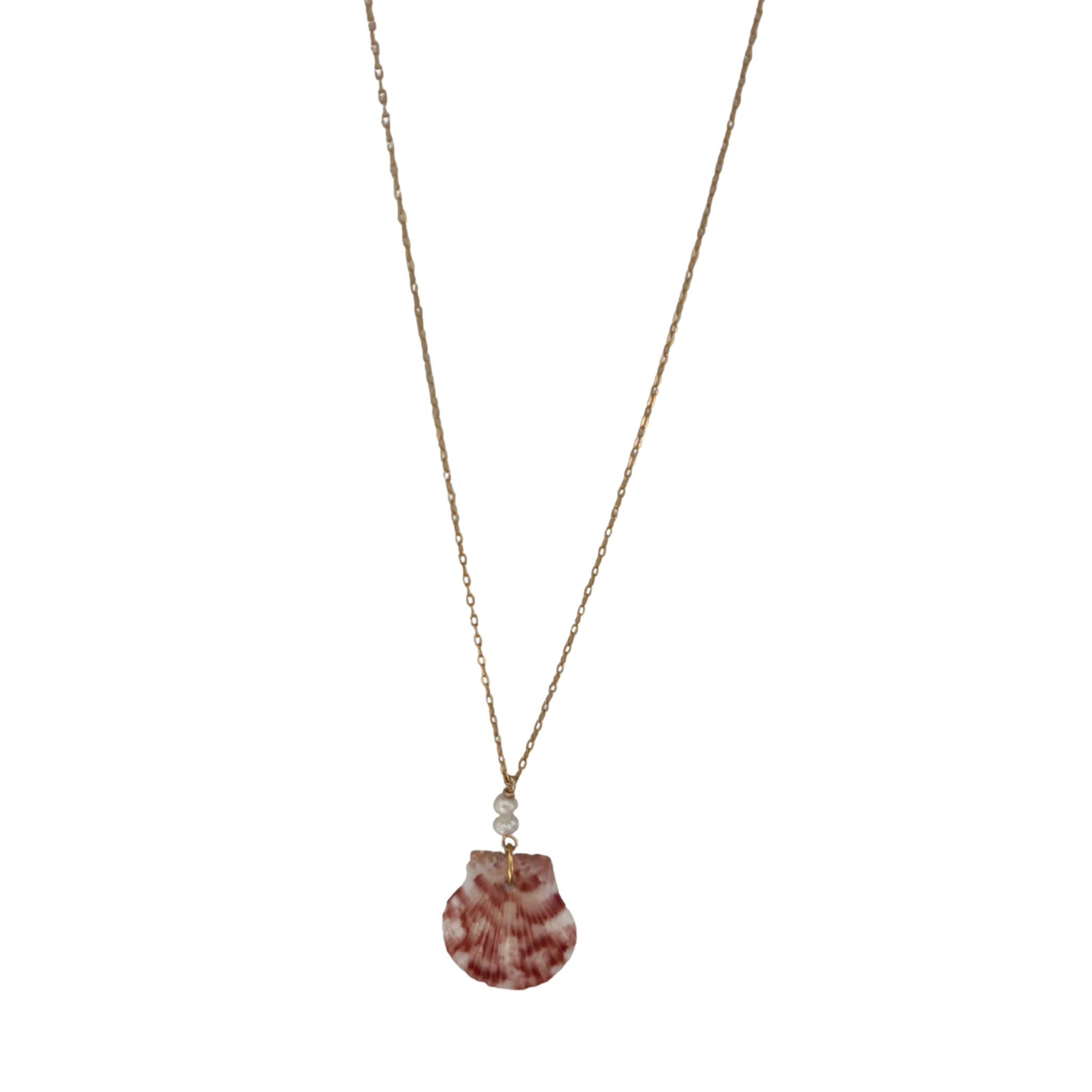 14k Gold Filled chain with shell and tiny pearls
